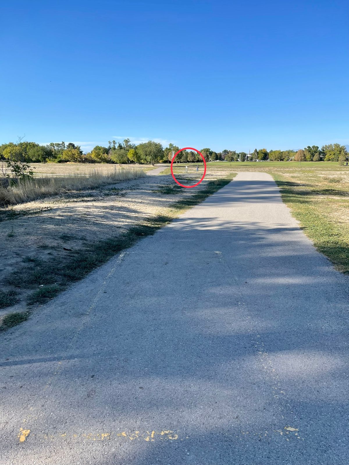 Hole 10 Short Basket