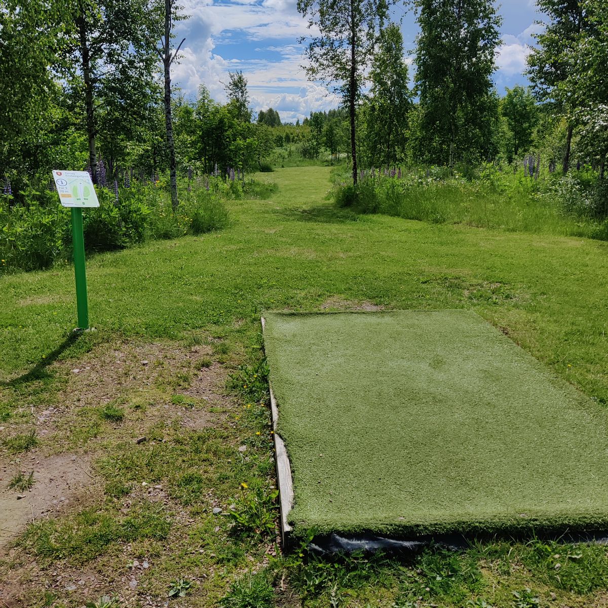 Tee 1