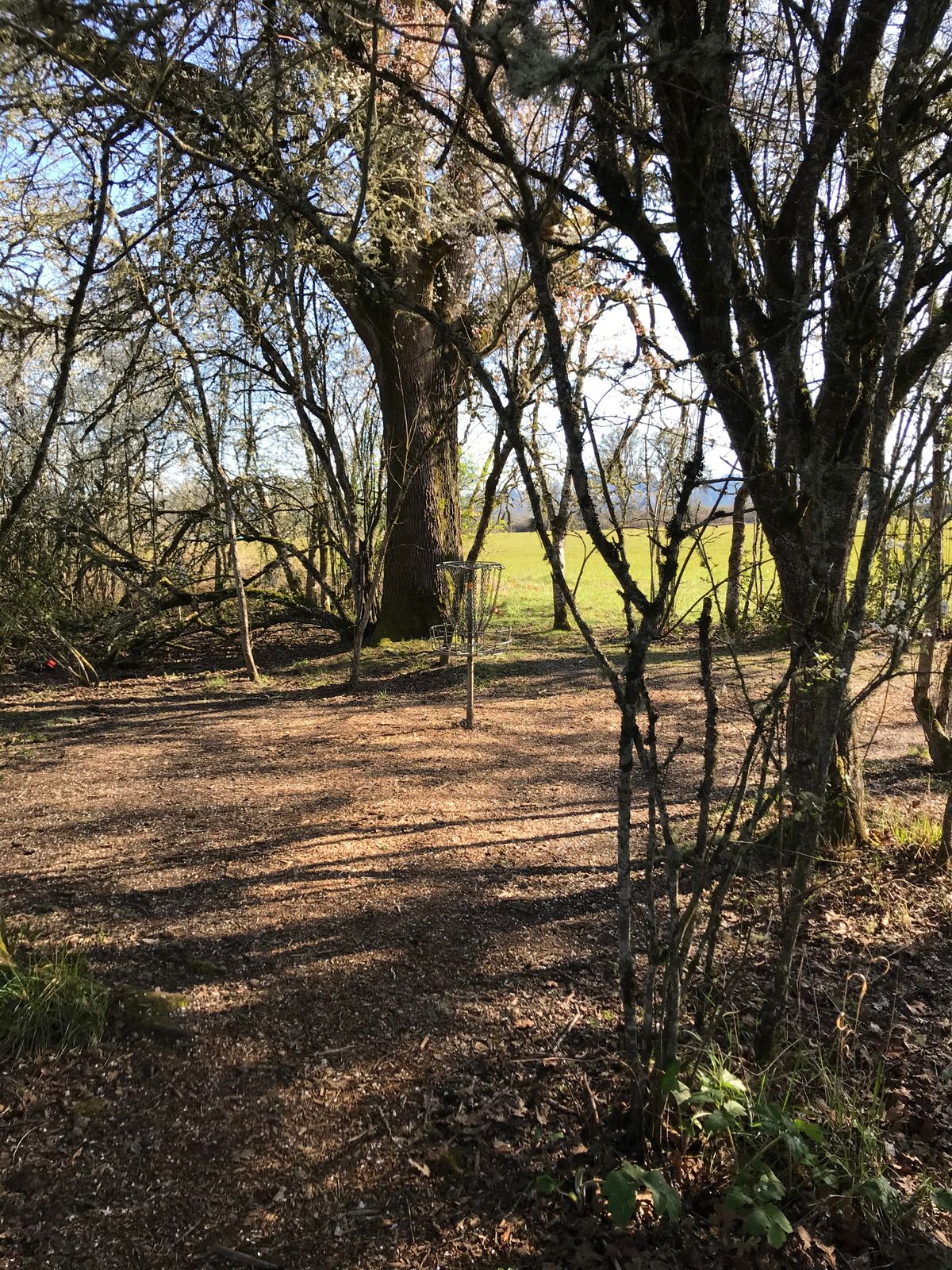 Hole 4 Basket