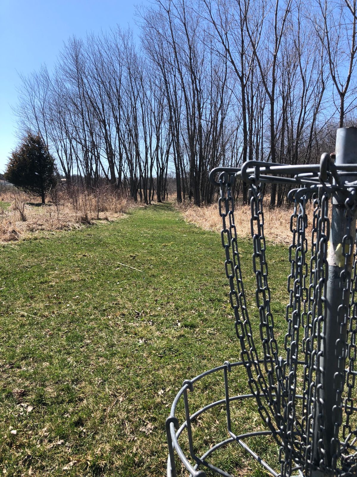 Hole 4 looking back from pin