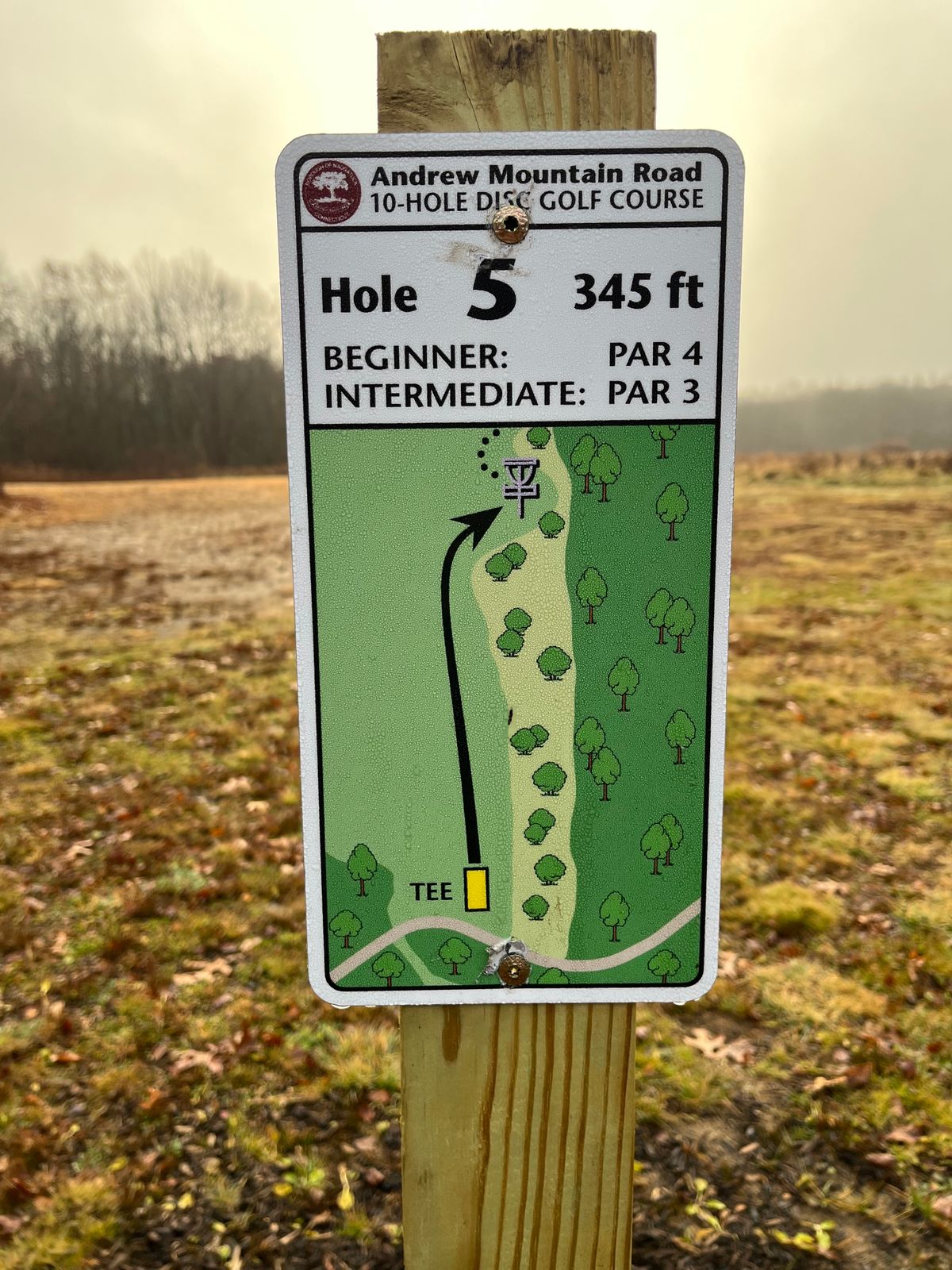 Hole 5