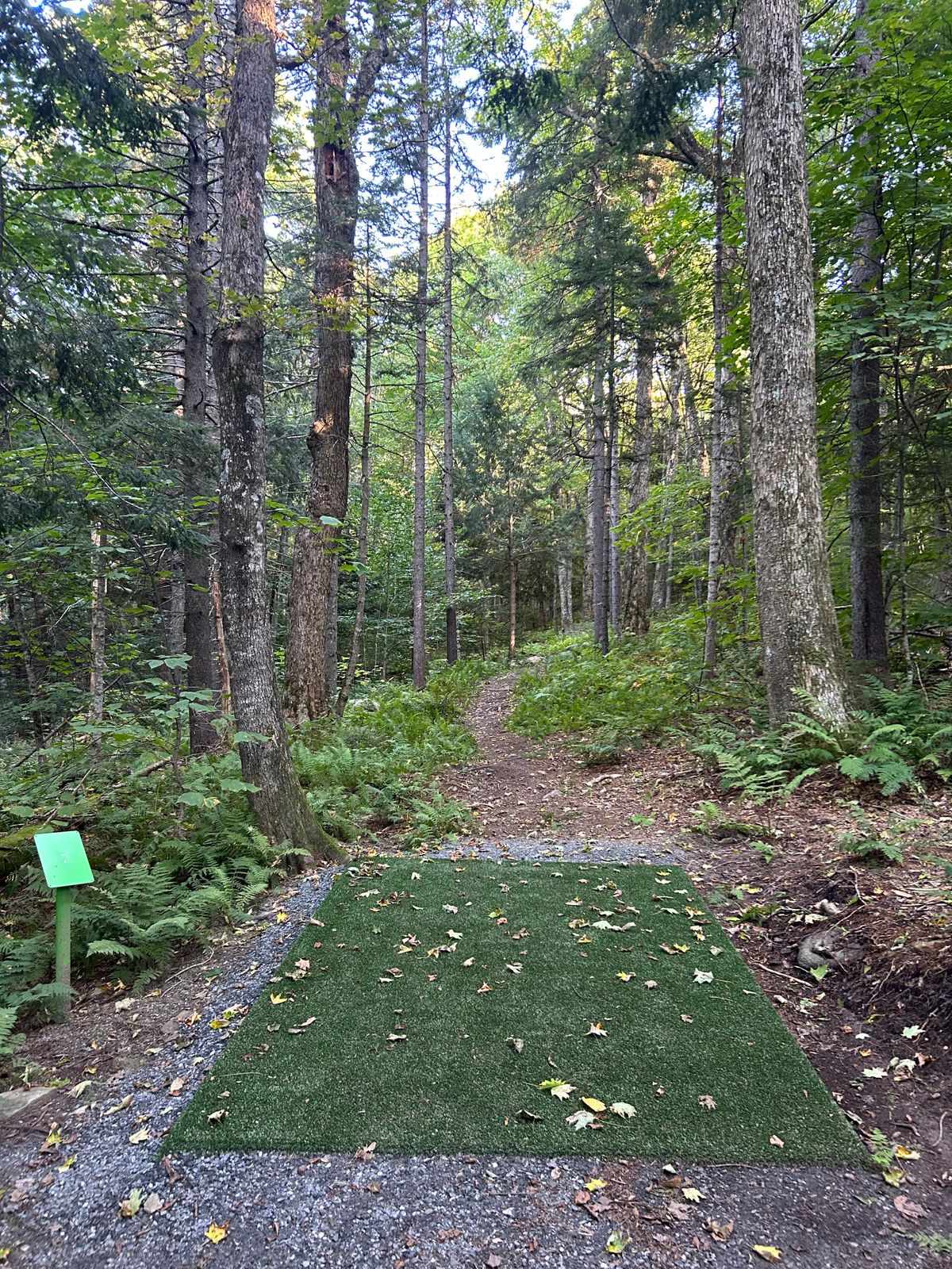 Hole 2 tee