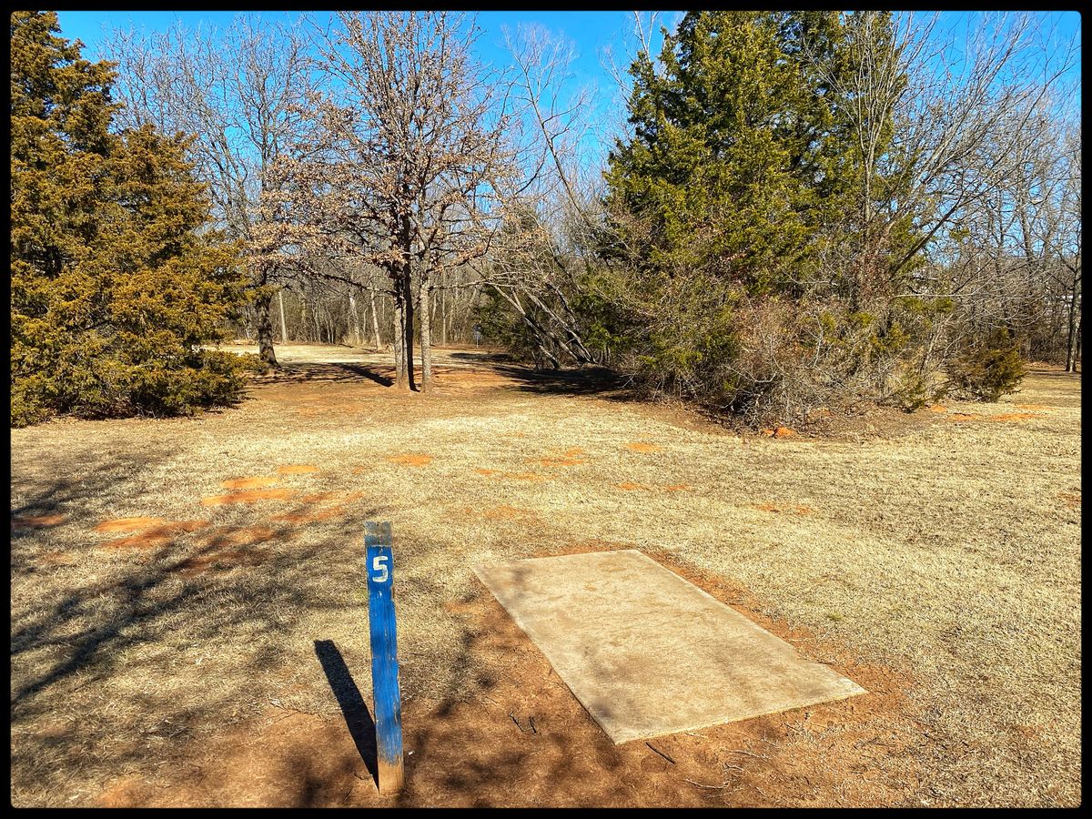 #5 throwing north