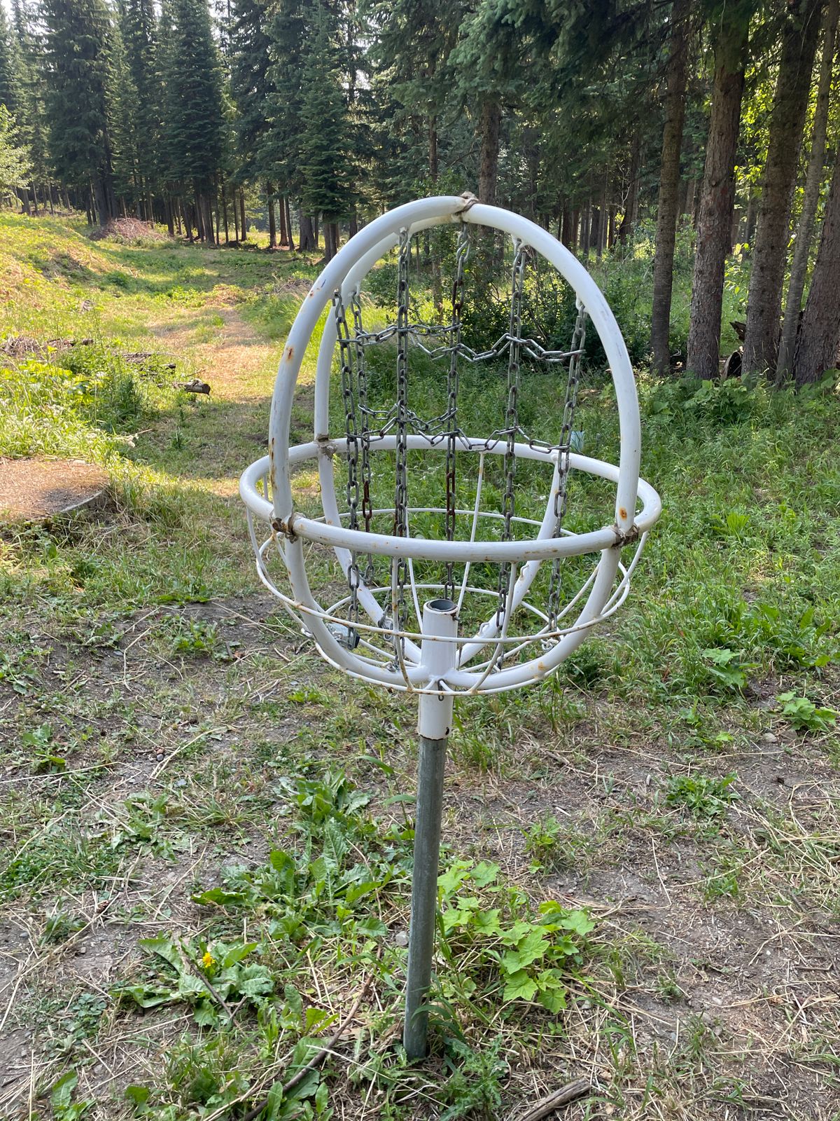 7th basket