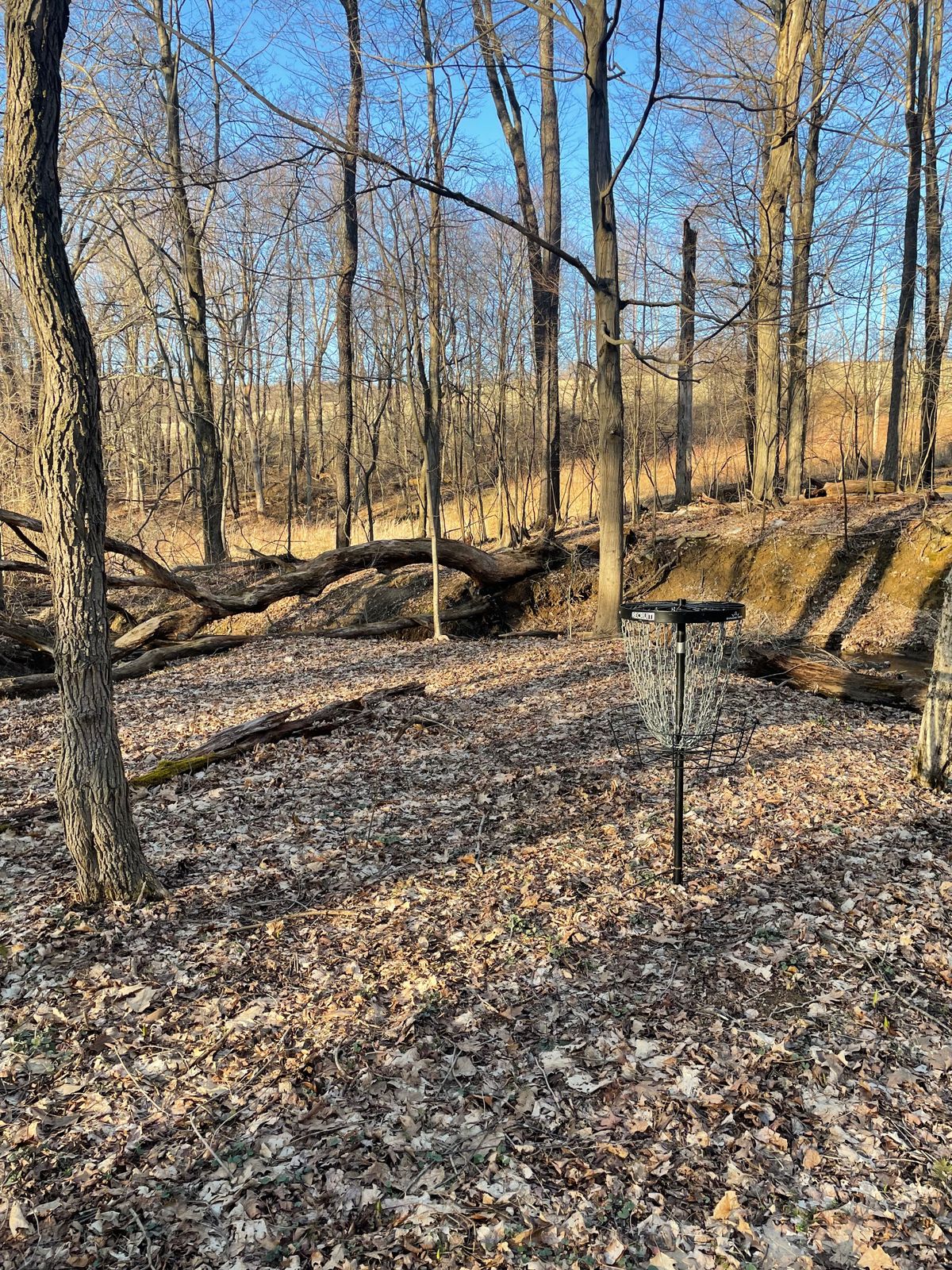 Hole 2’s green. 