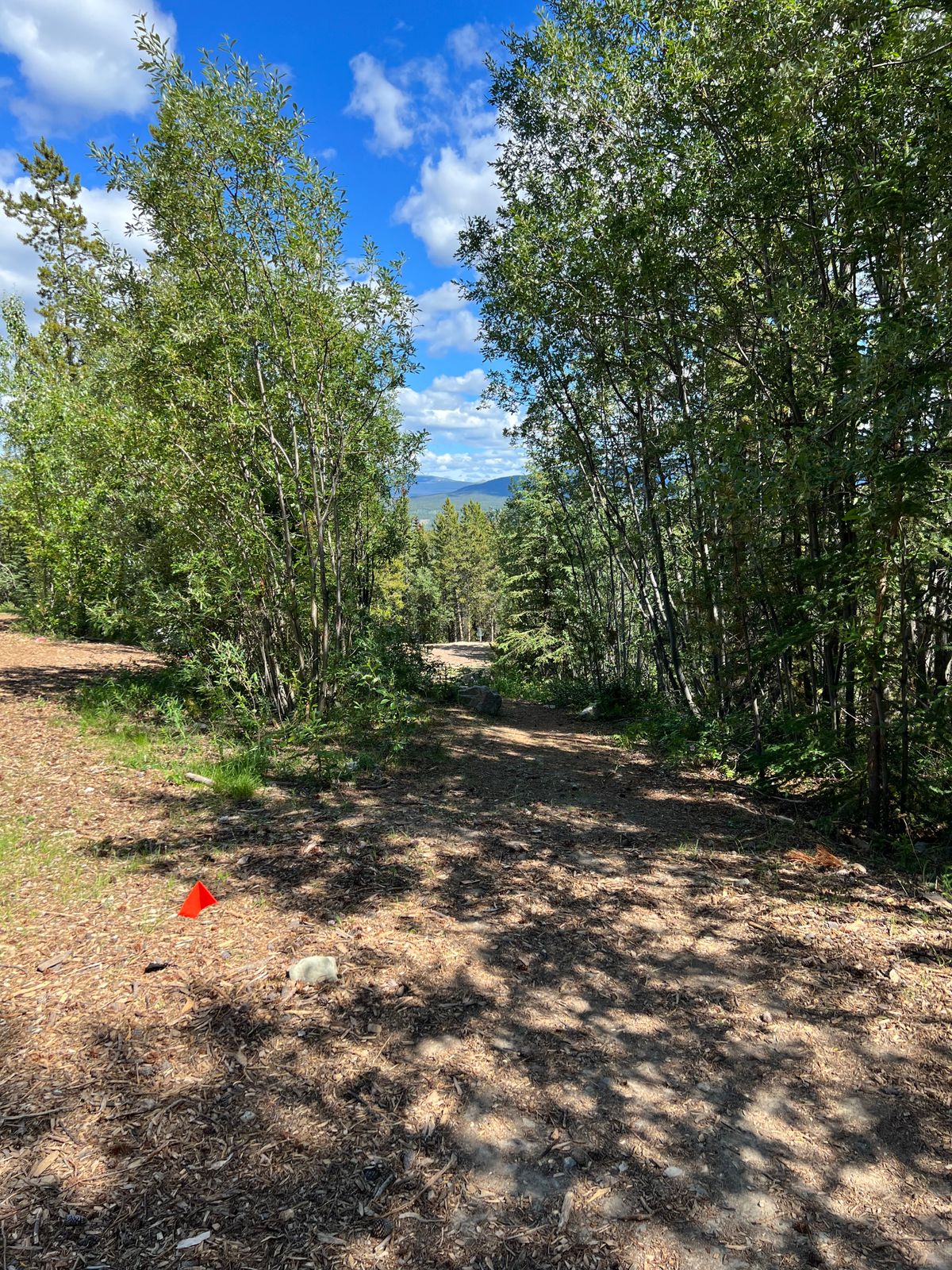 Hole 7 whites