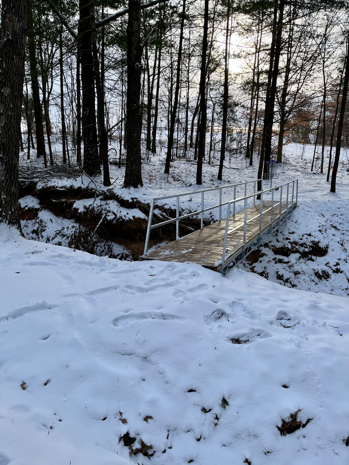Can you make it over from the tee pad?  So fun.