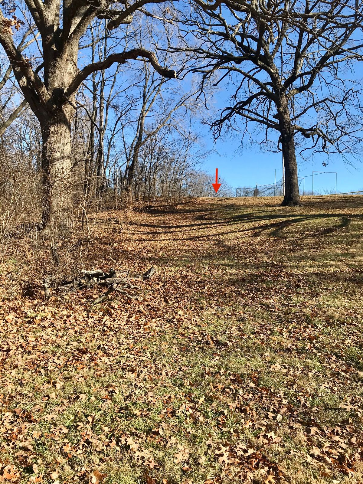 Hole 2 Tee