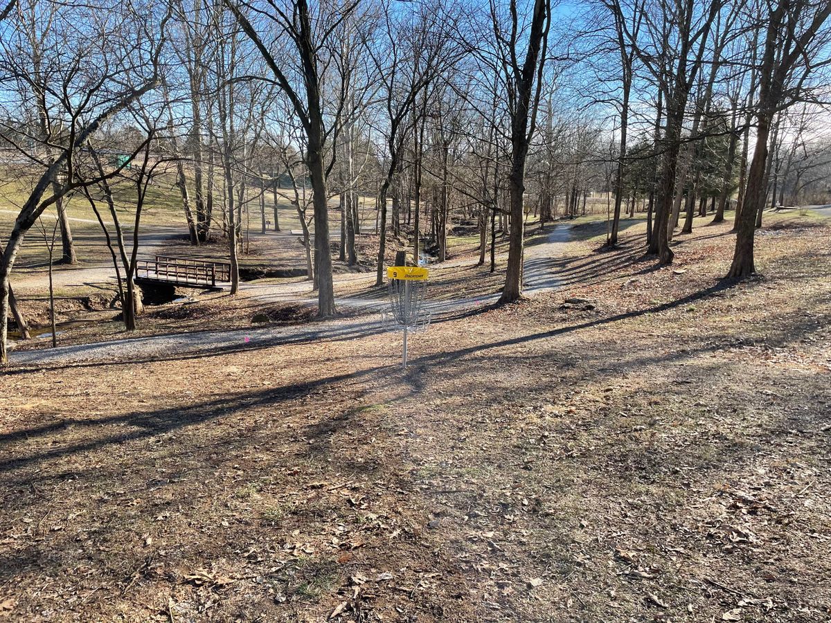 Hole 9 fairway and basket