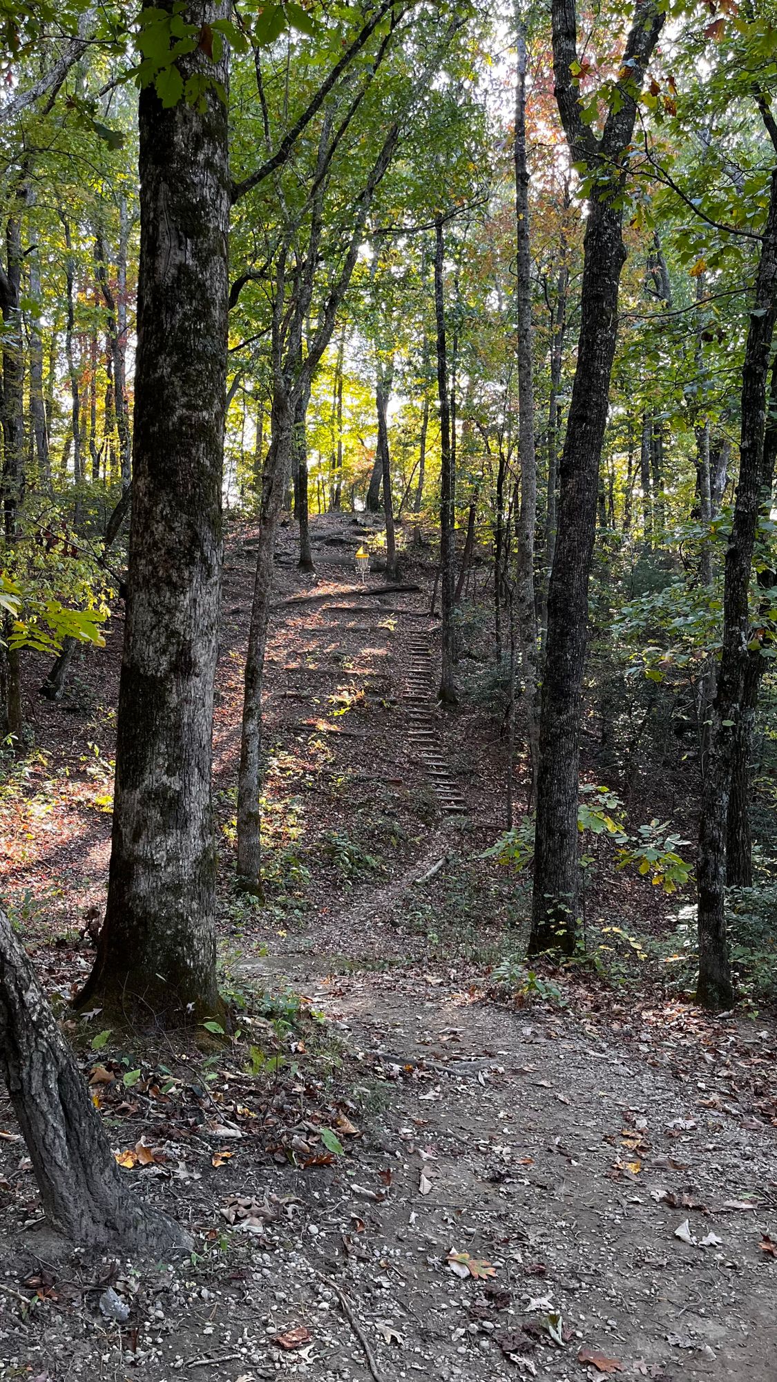 Hole 9