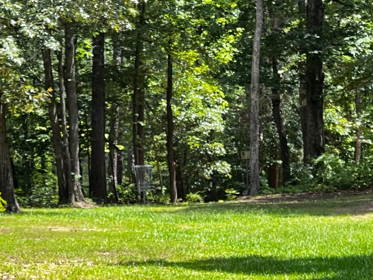 Hole 4 basket