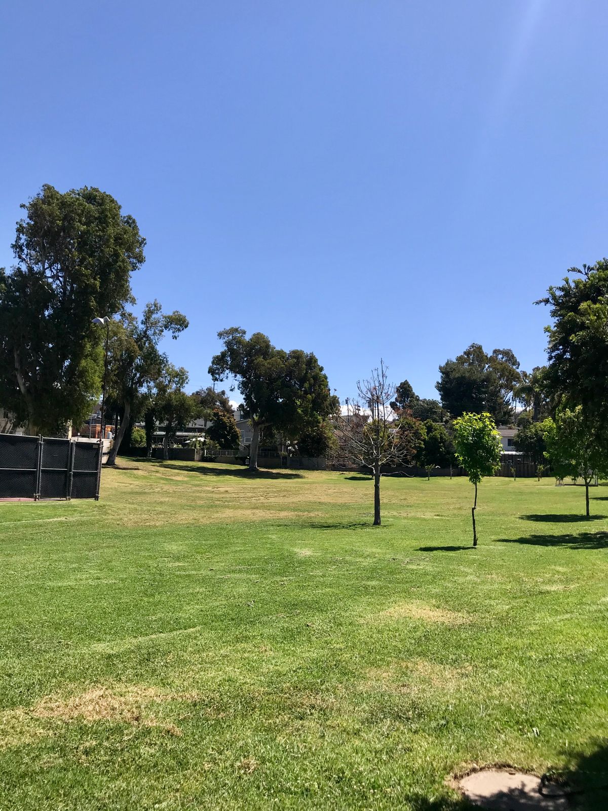 Hole #7 - Uphill bomber - Basket protected center left behind big tree.