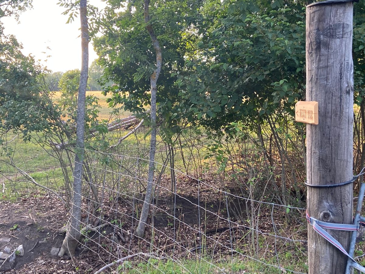 Så här ser Next Tee skyltar ut på Ansarve. Denna skylt sitter vid övergången till hål 5.
