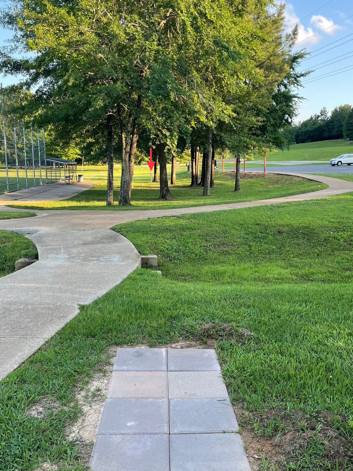 Hole 9. Pavement and beyond is OB.