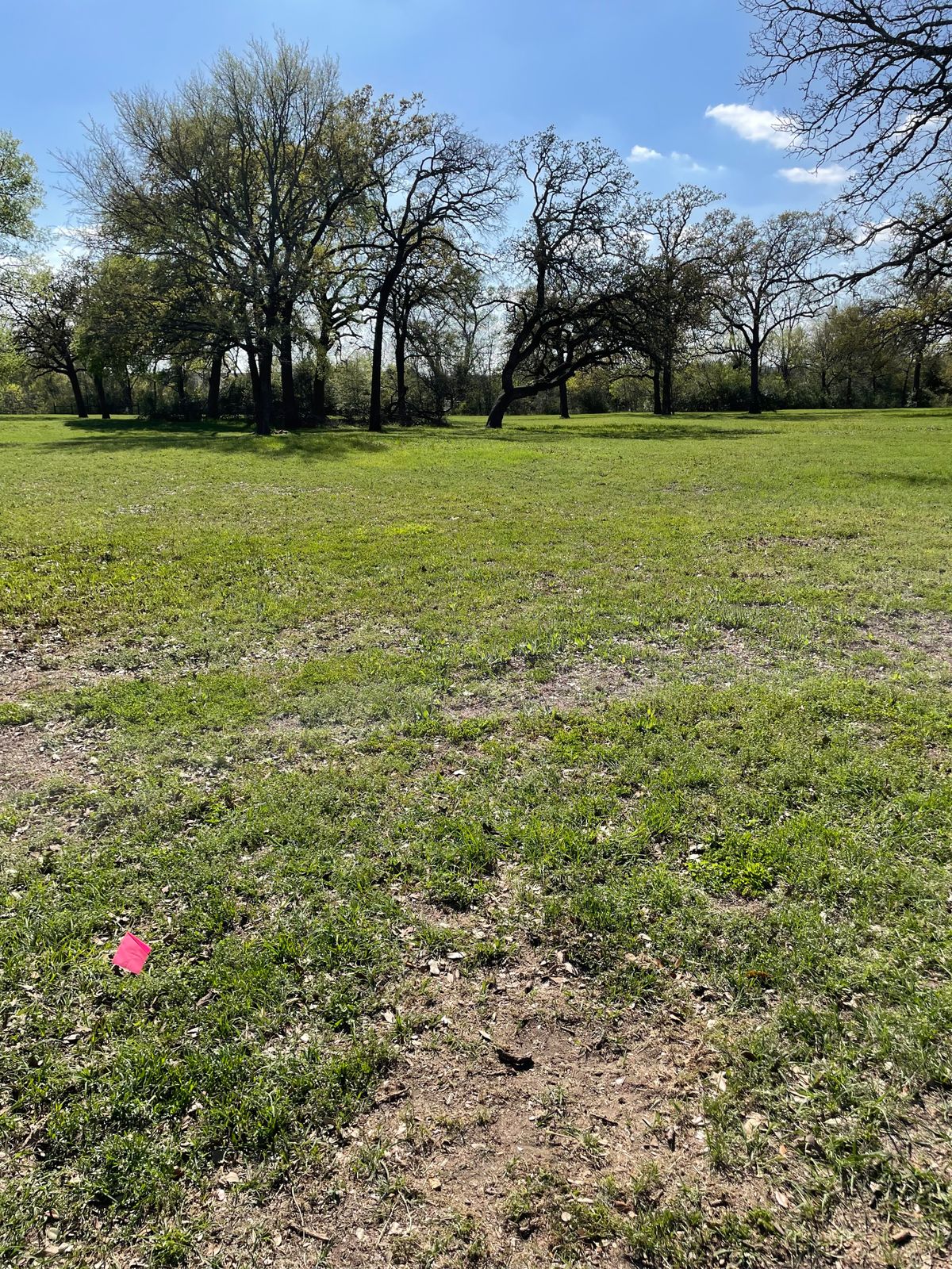 Hole 4