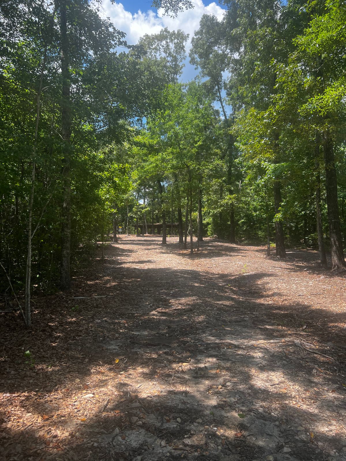 Hole 10
