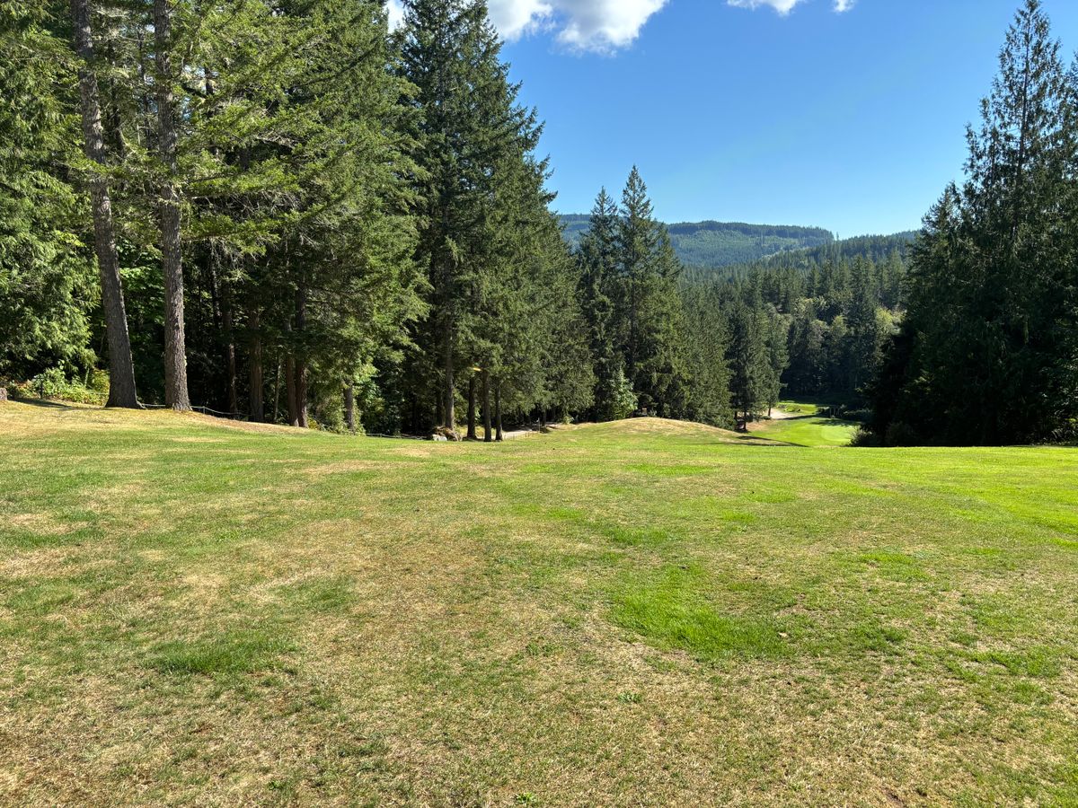 Hole 5 from blue tee pad