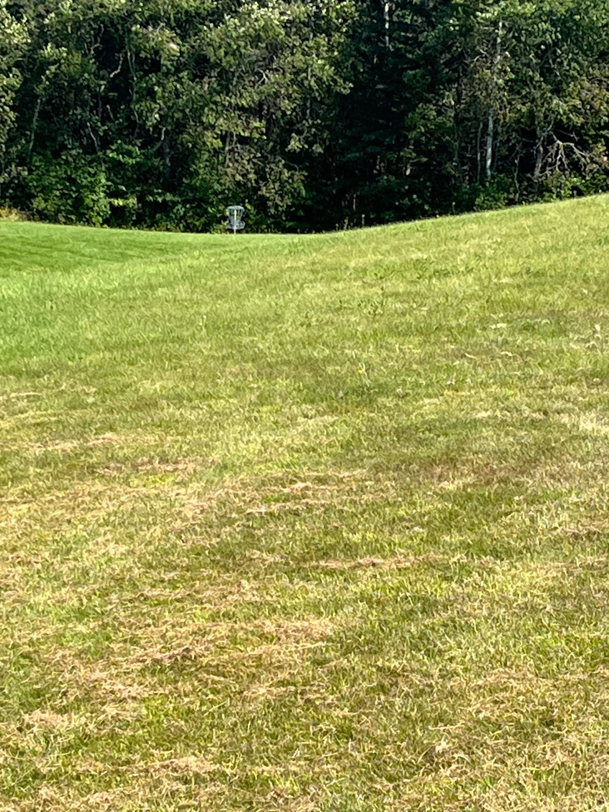 Hole 12 was way cool