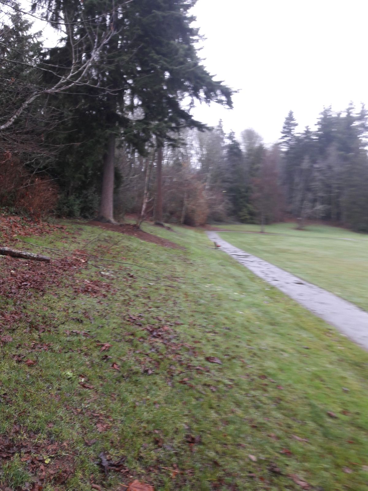Keep to the left of the path!