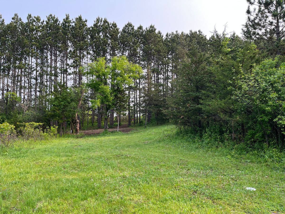 5’s fairway