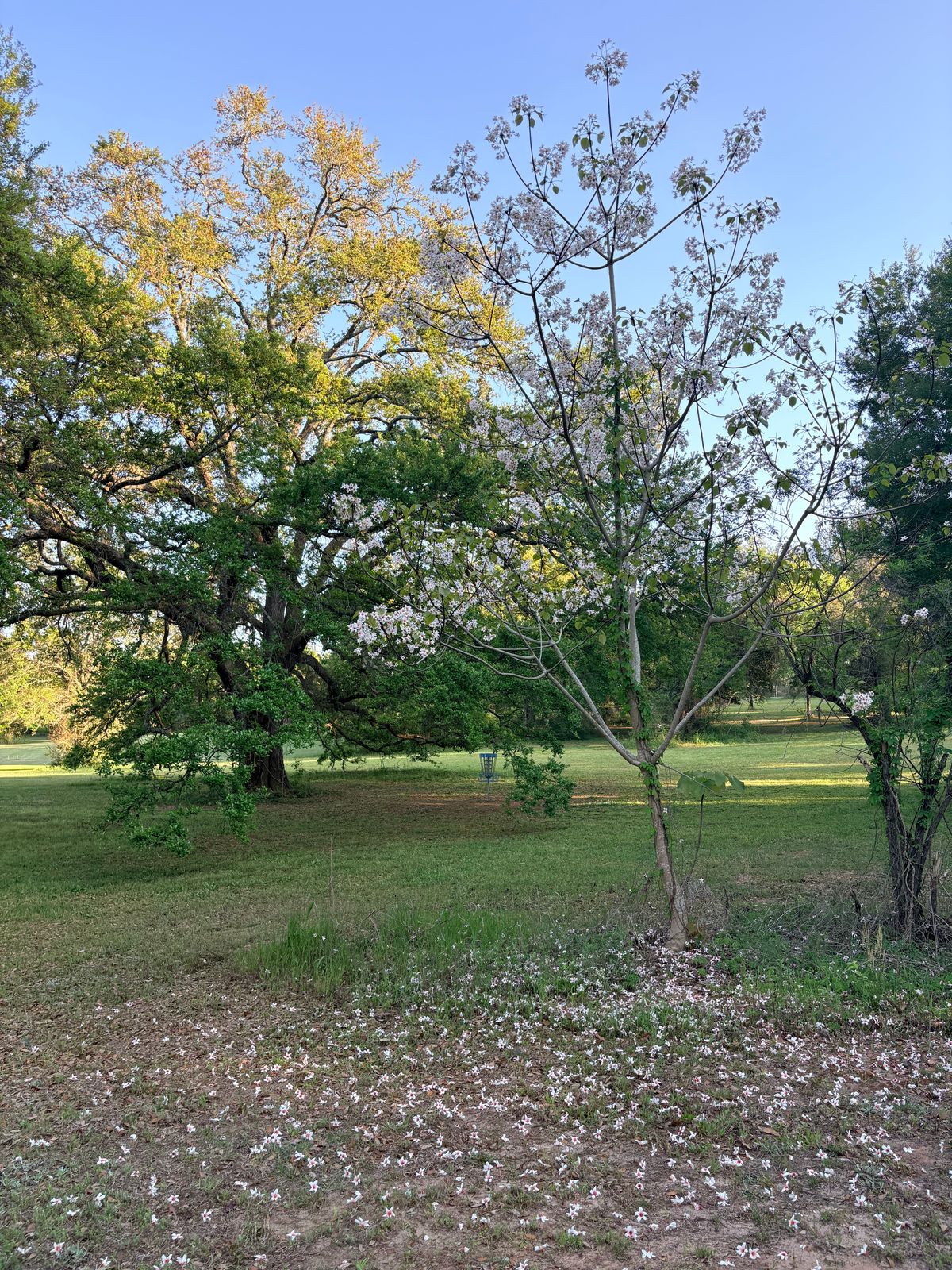 Between hole 5 and 9