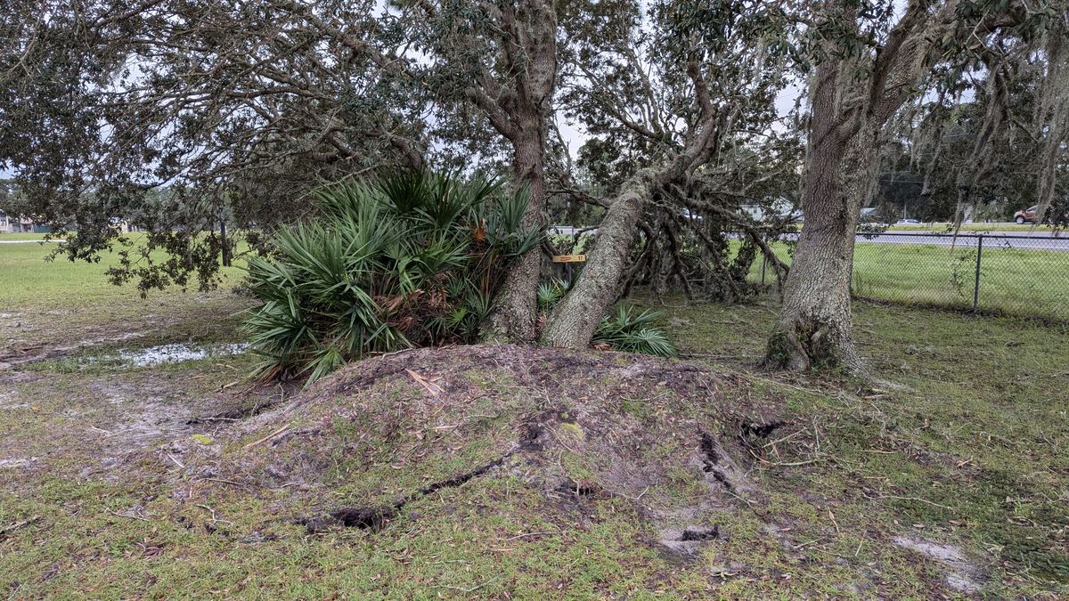 Only major damage from the hurricane