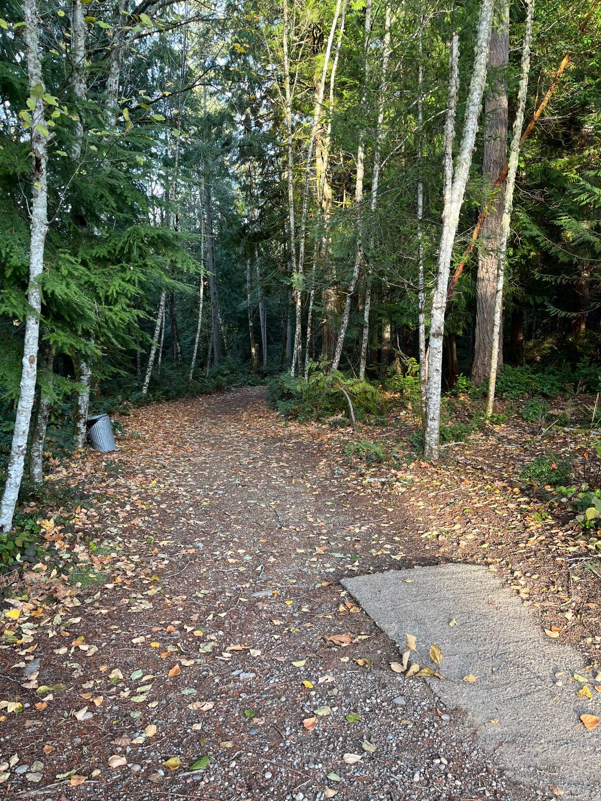 View from Tee of Hole 5