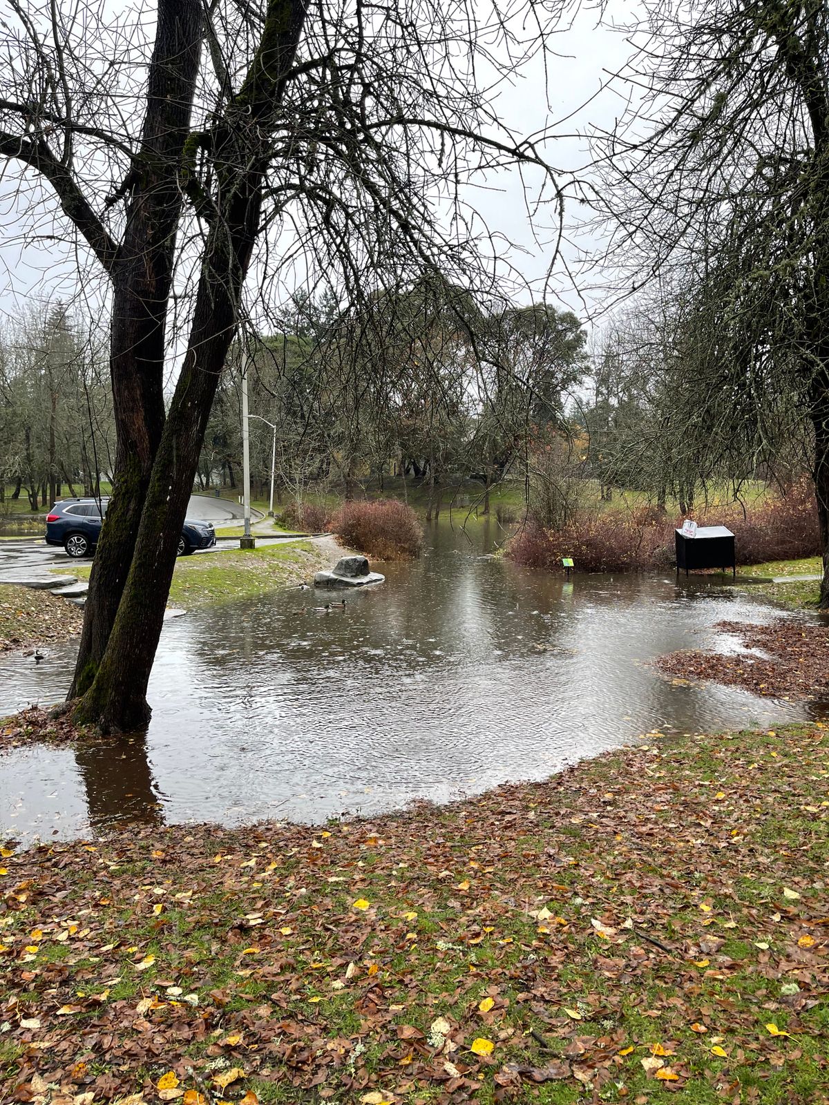Hole 1 tee pad under water during heavy rain