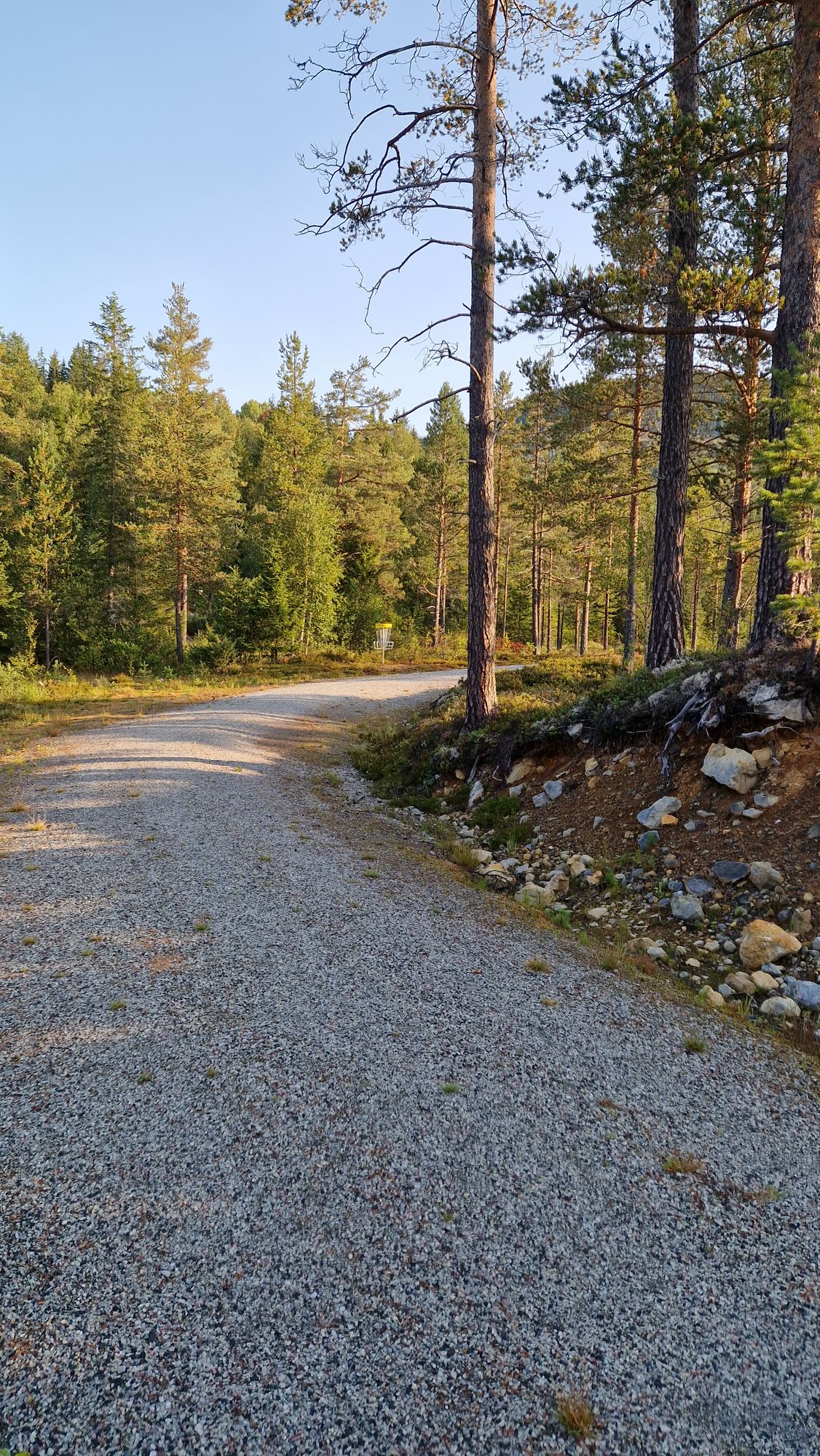 Mot kurv hull 14