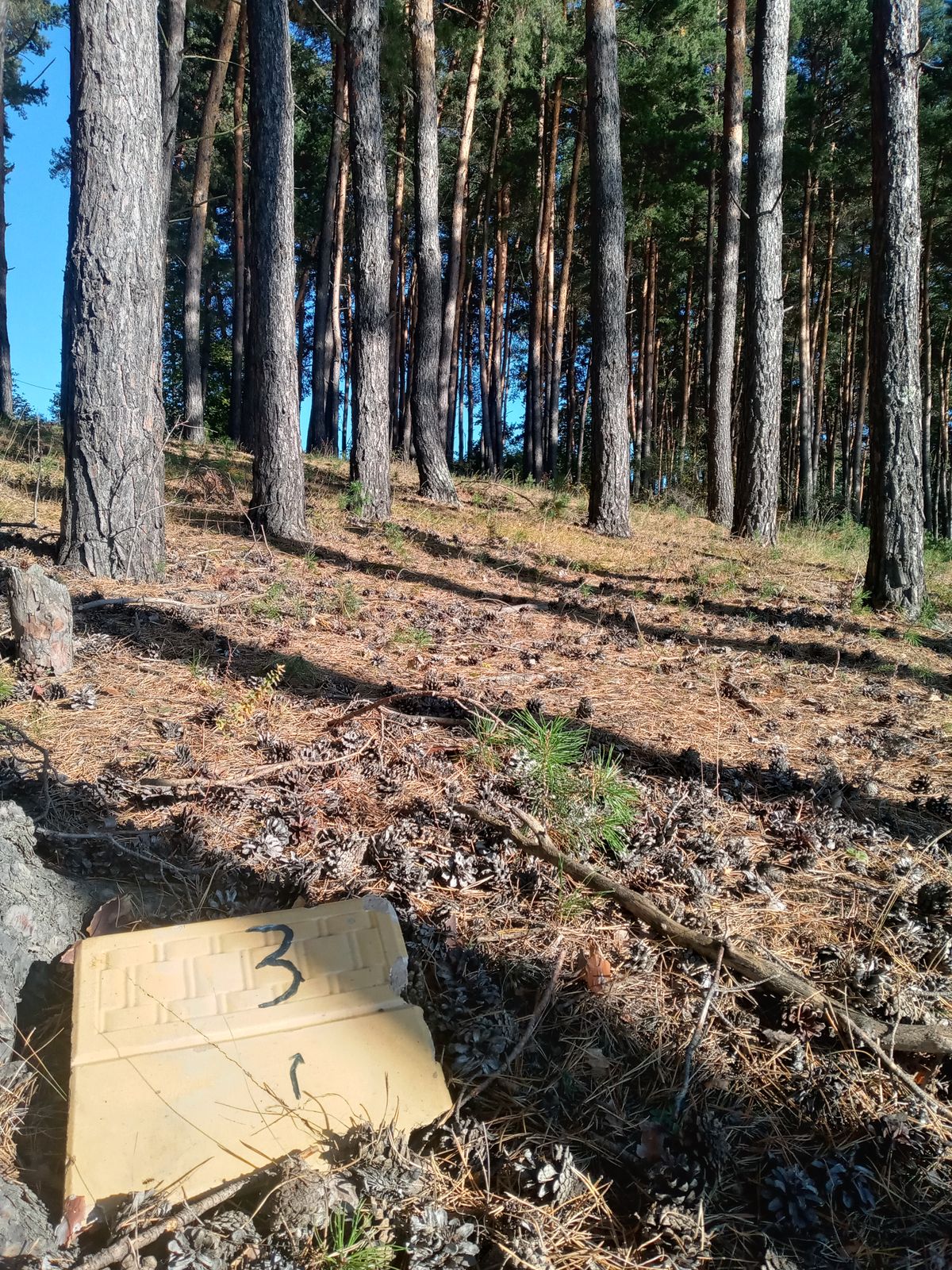 Hole 3 Tee