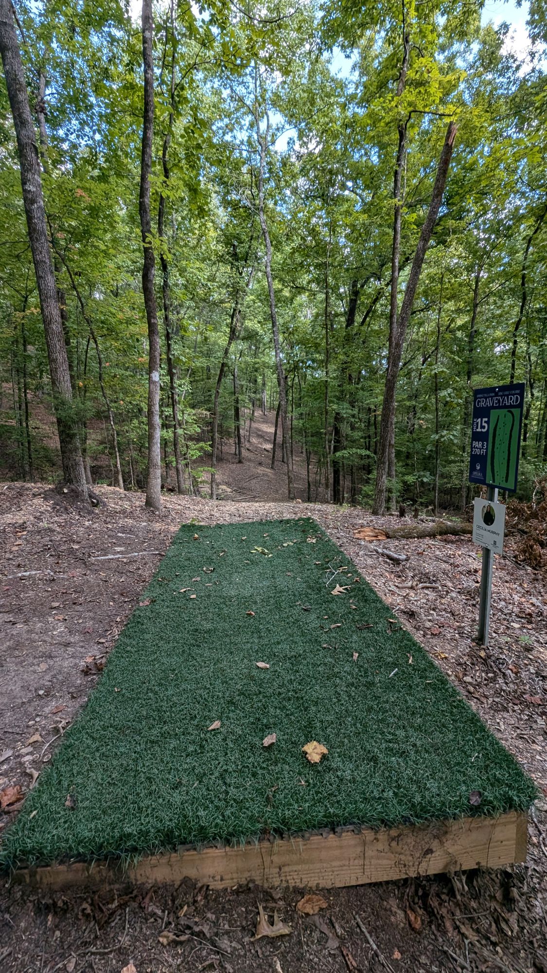 Hole 15