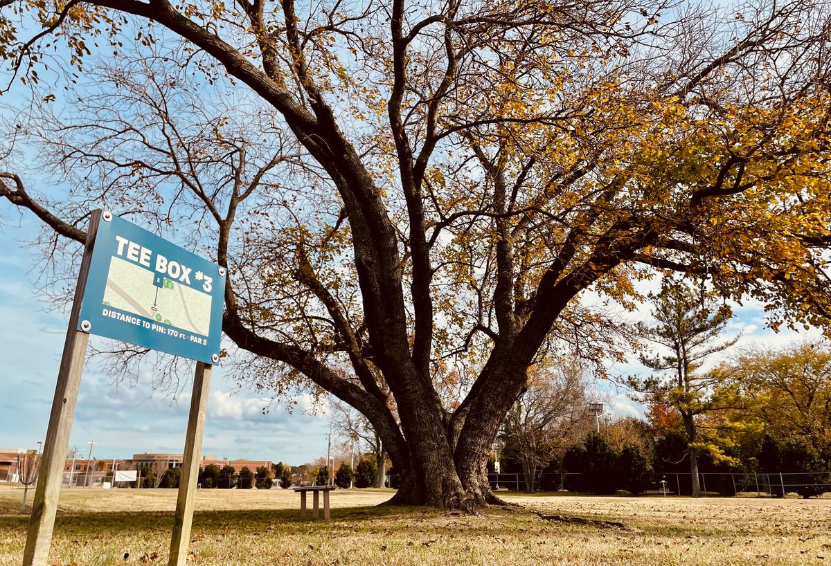 Tree Box #3