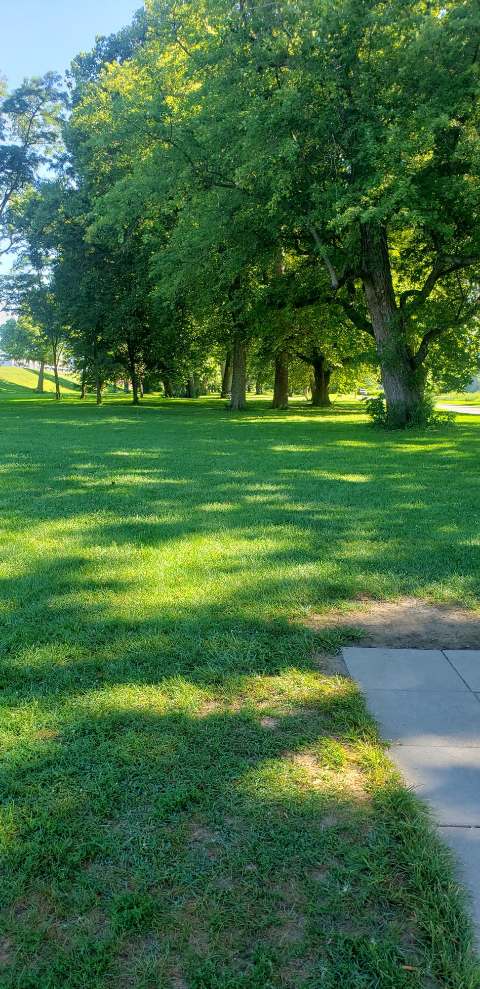 Nesbitt Park