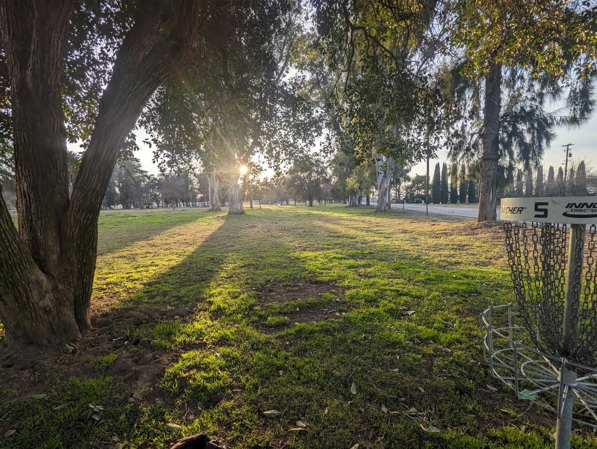 Hole 5 basket. 265' on the right. Looking back at tee