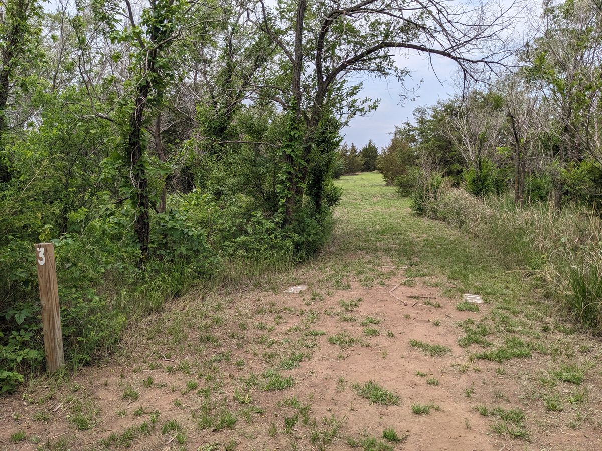 Hole #3