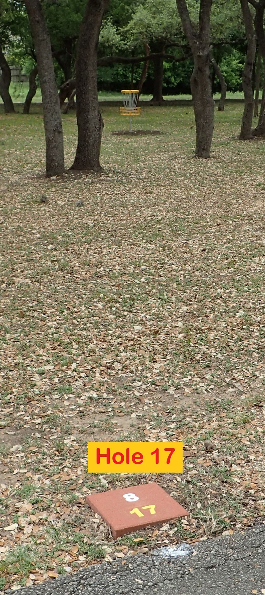 Hole 17