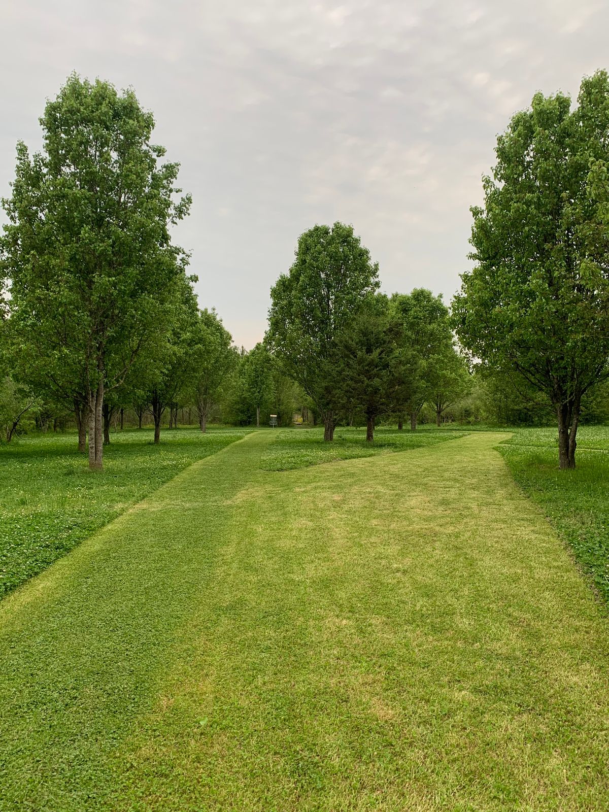 Hole #6