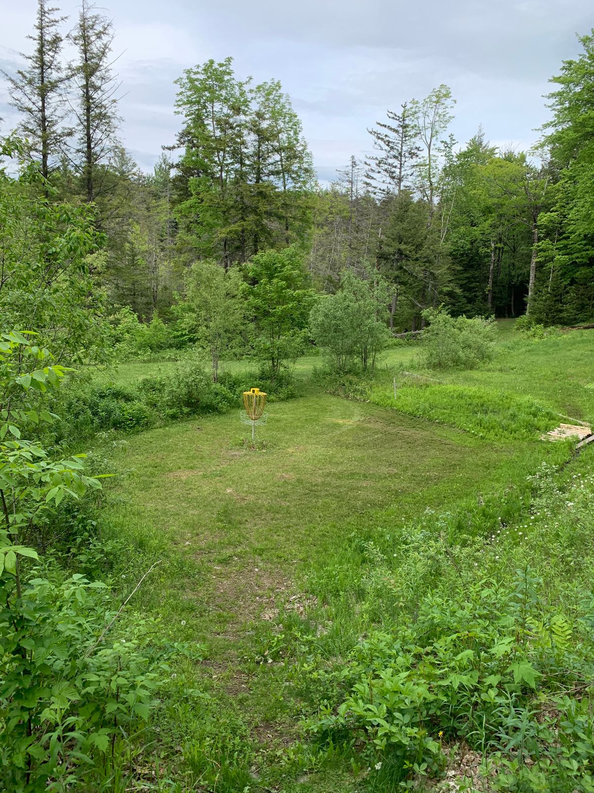 Hole 16’s green looking nice 👀