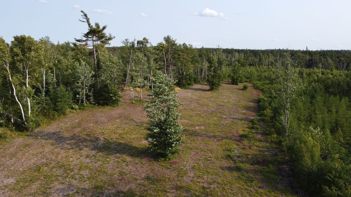 Fairway of hole 4 with the short basket’s green visible on the left.
