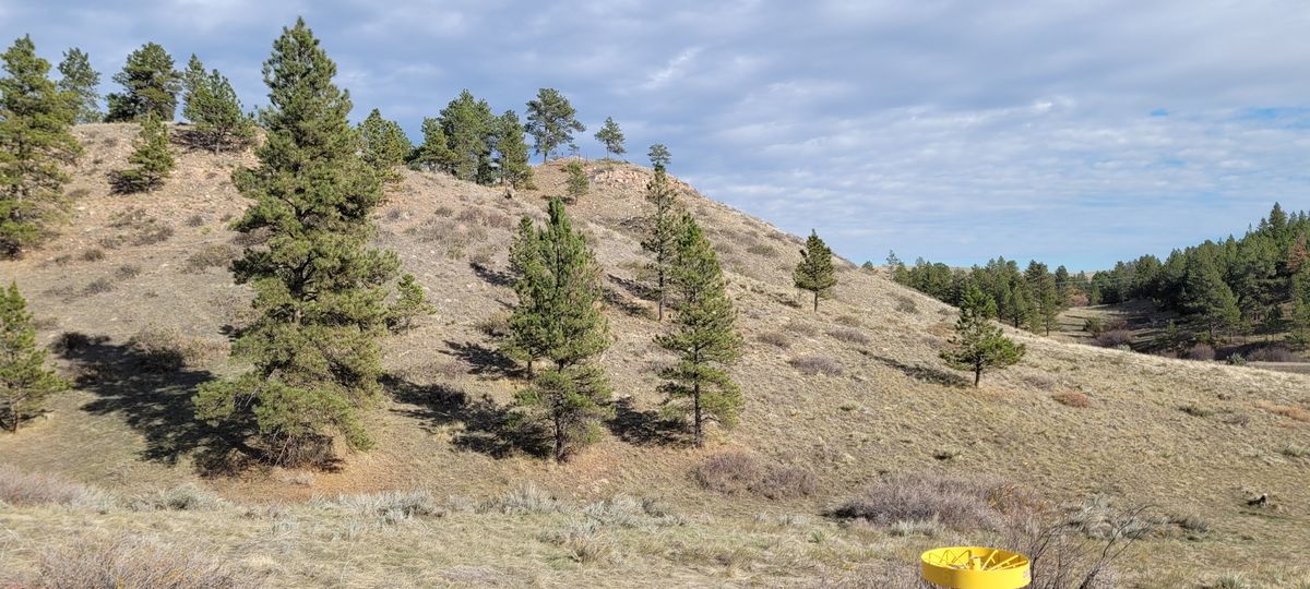 Hole 9 Basket