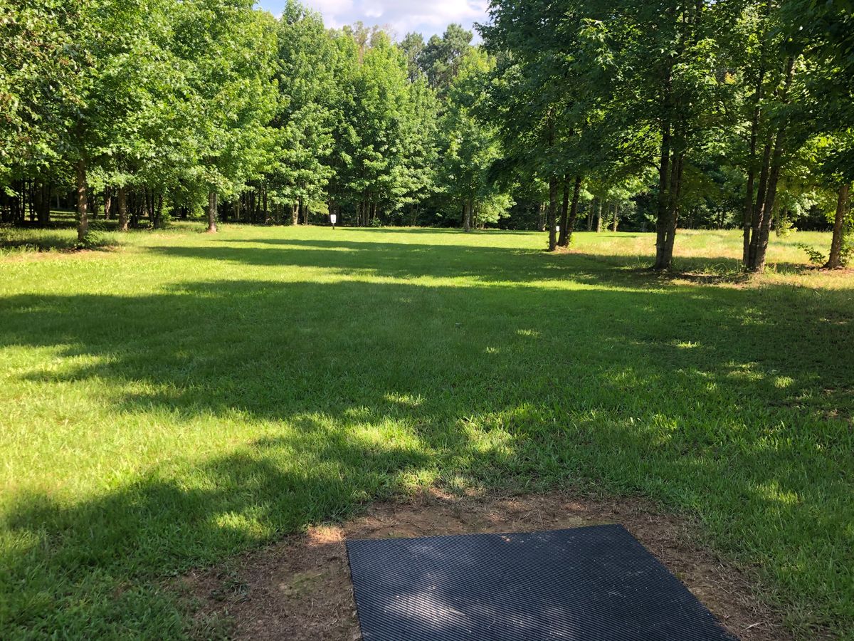 View from tee on hole 3, fairway bends right, discatcher is visible in the distance.