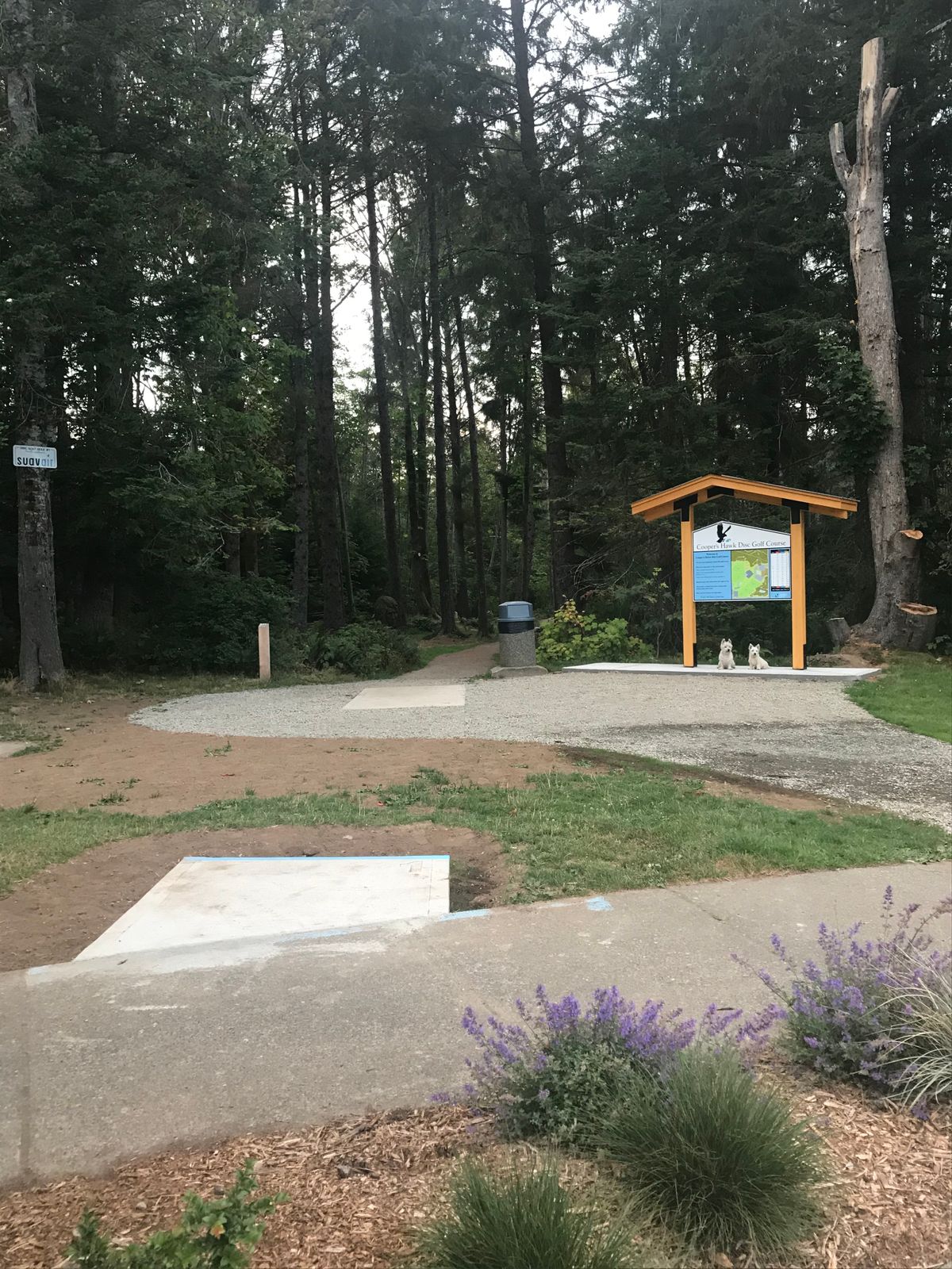 Hole 1 - Blue tee pad