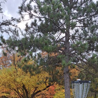 Hole 14 on a fall day