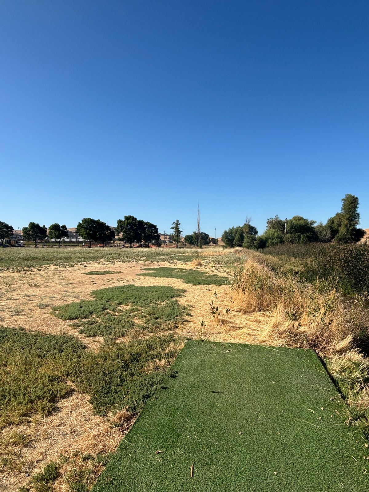 Lagoon Front Hole 6