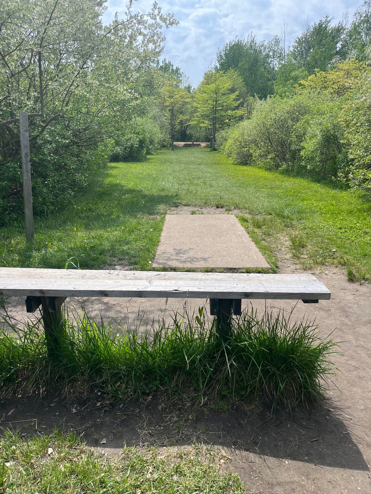 Hole 6