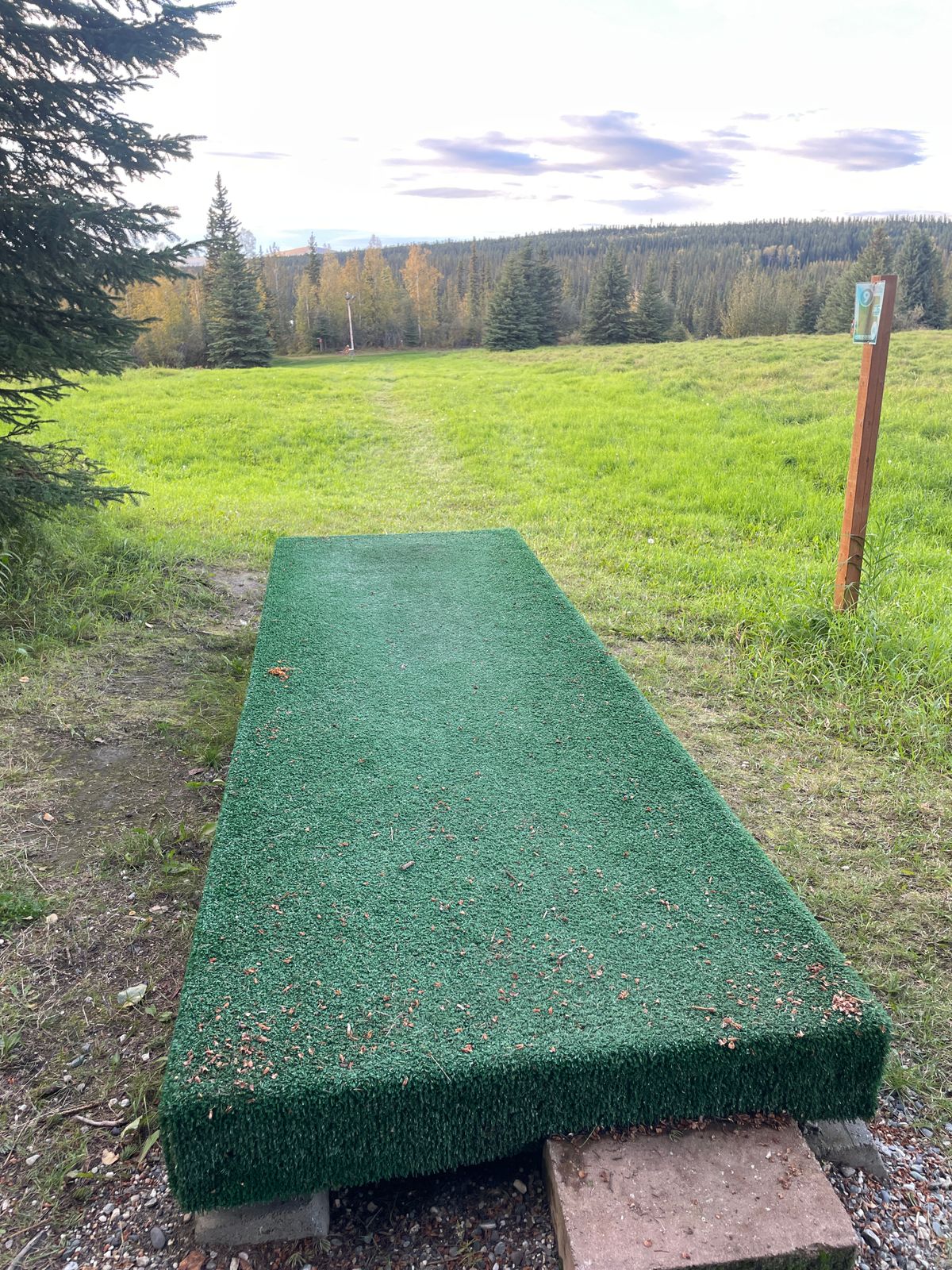 Hole 9 Tee Pad