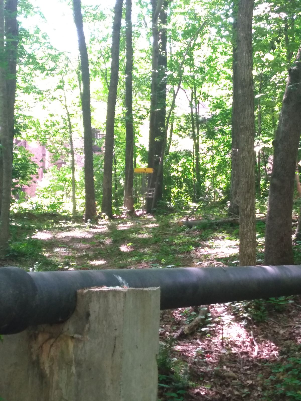 Hole 4 approach