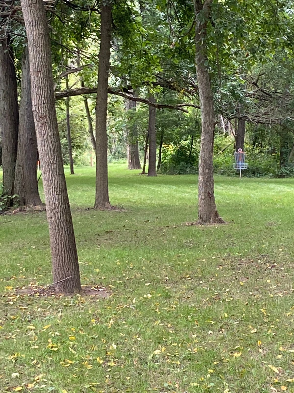 Approach on 12