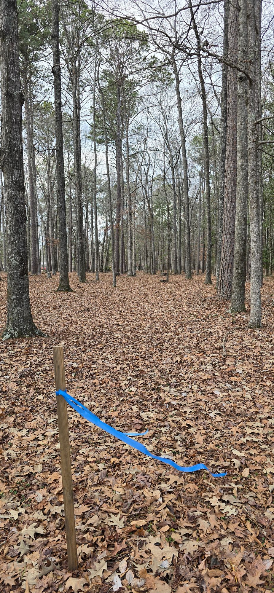 Hole 13 Tee location.
