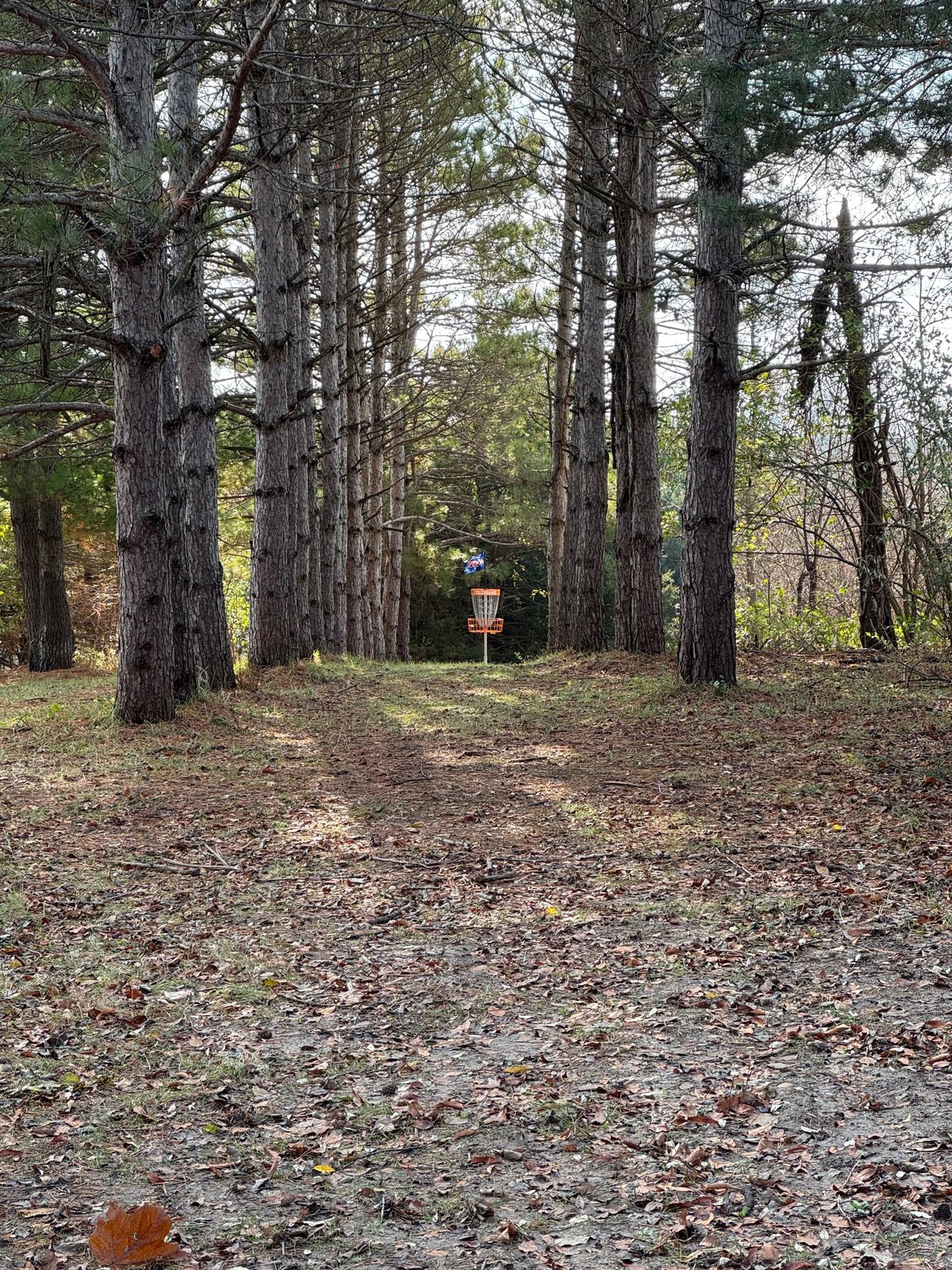 Hole 7